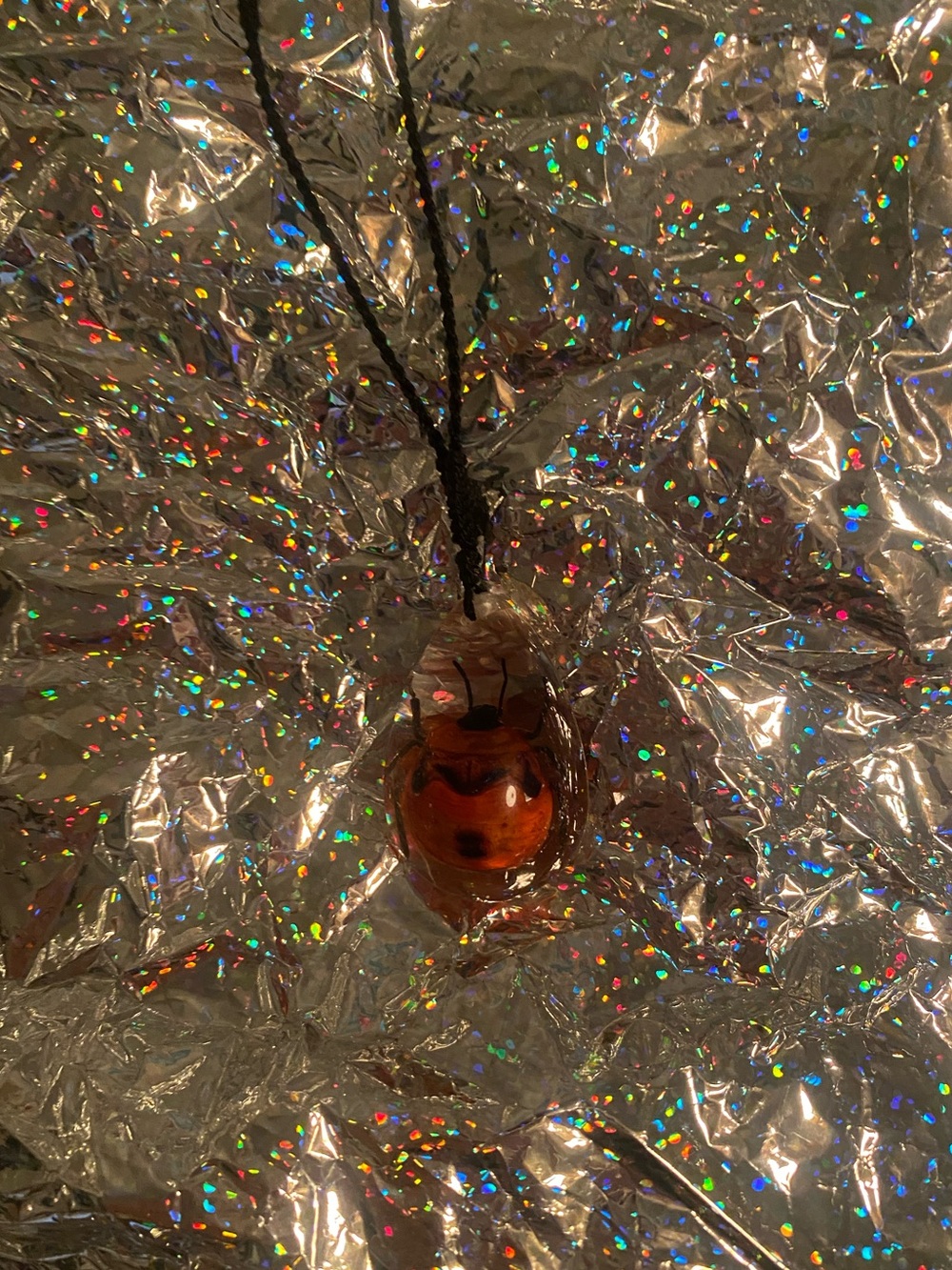 Bug in Glass Pendant Necklace